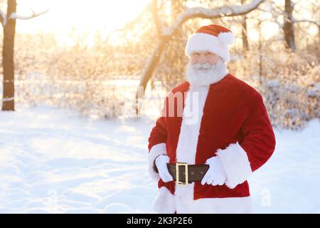 Waist up portrait of traditional Santa Claus smiling at camera outdoors in winter forest with copy space Stock Photo