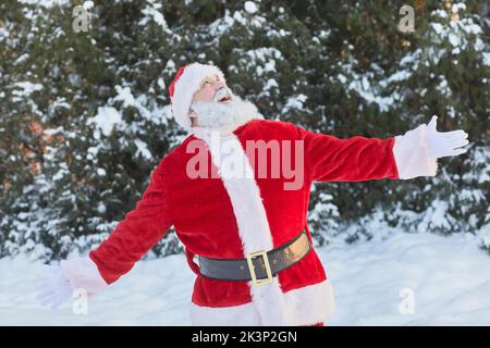 Waist up portrait of traditional Santa Claus enjoying winter forest outdoors with arms out Stock Photo