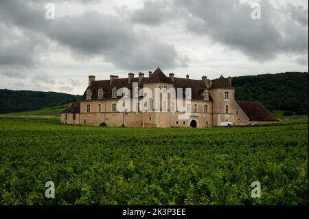 Panoramic view on green grand cru vineyards in Côte-d'Or Burgundy winemaking region, Bourgogne-Franche-Comté, France Stock Photo