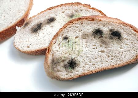 indoor macro shot of sliced mouldy bread on white table Stock Photo