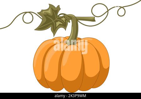 Cute orange pumpkin vector illustration Stock Vector