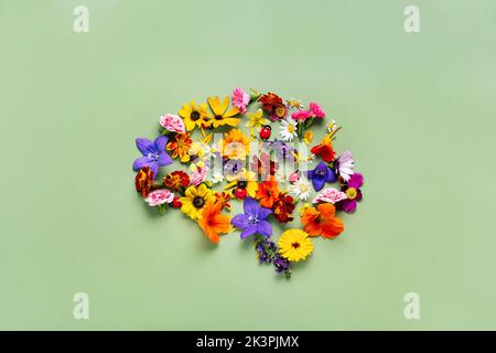 Human brain silhouette made with flowers on green background. Mental health concept Stock Photo