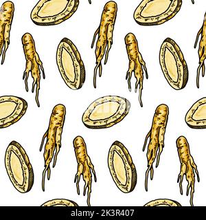 Colorful Hand drawn ginseng seamless pattern. Vector illustration in sketch style. Medicinal plant background. Botany design Stock Vector