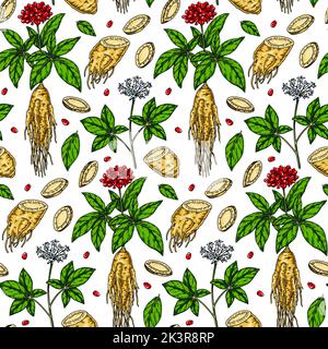 Colorful Hand drawn ginseng seamless pattern. Vector illustration in sketch style. Medicinal plant background. Botany design Stock Vector