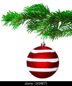 christmas ball on fir branch isolated on white background Stock Photo