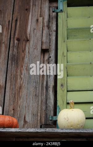 Various pumpkins on a board in front of a brown wooden hut with green shutters. Stock Photo