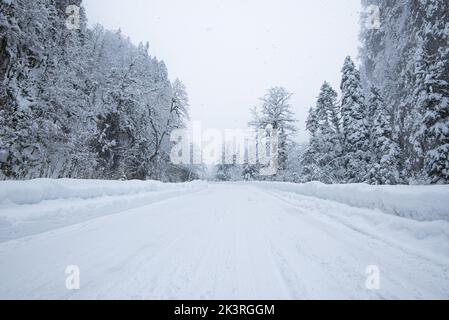 Road in forest with covered snow. Winter time. Landscape. snow-covered mountain forest road Stock Photo