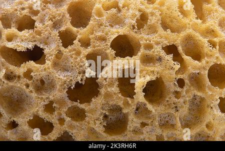 Abstract  macro image of a sponge. Stock Photo