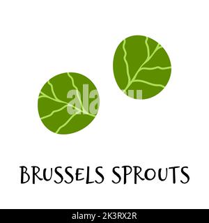 Vector illustration of brussels sprouts in hand drawn flat style. Doodle fresh healthy vegetable Stock Vector