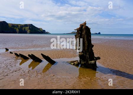 Last remaining oak timbers of the sailing ship Helvetica revealed at low tide on Rhossili beach. Stock Photo