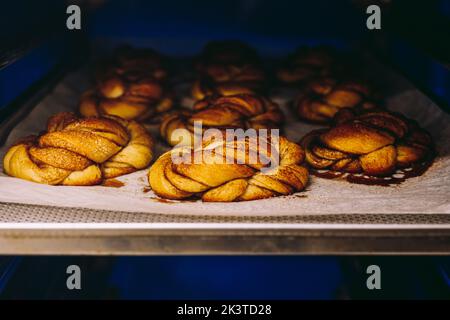 Freshly baked delicious cinnamon rolls placed in rows on baking pan in oven in kitchen Stock Photo