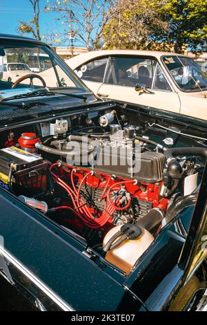 Motor of vehicle GM Opala Comodoro 1975 on display at vintage car fair. Stock Photo