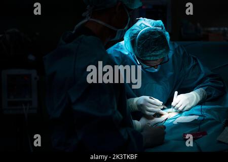 Two men in surgeon uniform conducting surgery on patient in dark operating theater Stock Photo