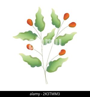 Hand drawn set of colorful coffee tree branches and beans. Vector illustration in vintage style Stock Photo