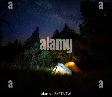 Amazing scenery with illuminated camping tents located on grassy meadow surrounded by coniferous trees under starry night sky in summertime Stock Photo