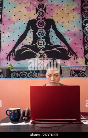 Serious Asian female entrepreneur sitting at table and typing on netbook while working on project at home on background of wall with Indian Buddha pos Stock Photo