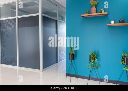Pots and vases with green plants placed near blue wall in light corridor in modern office Stock Photo