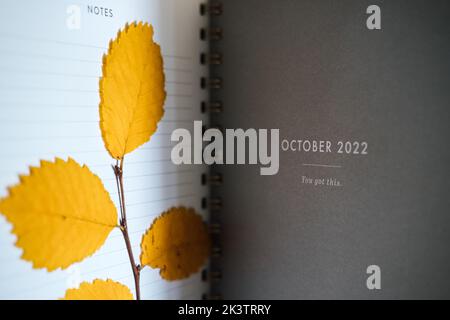 October 2022 plan page in open notebook organizer calendar with dry autumn leaves. Autumn planning and schedule for October. Selective focus Stock Photo