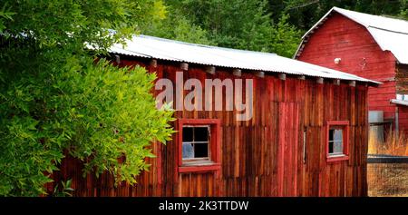 Detail of old weathered wooden barn wall with red paint windows and green trees Stock Photo