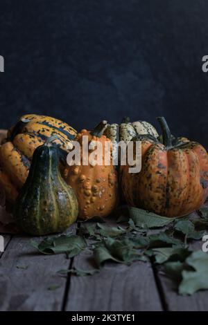 Assorted rustic pumpkins on dark wooden table Stock Photo