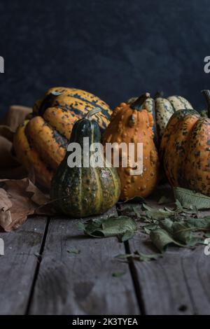 Assorted rustic pumpkins on dark wooden table Stock Photo