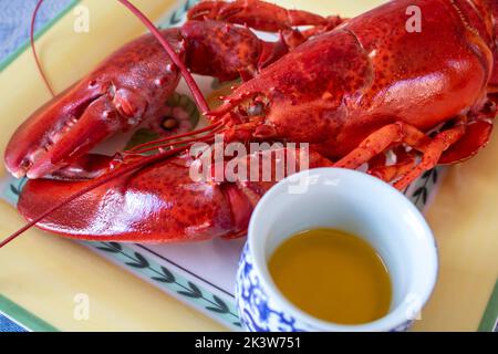 Cup of butter next to a cook fresh full lobster on a yellow plate Stock Photo