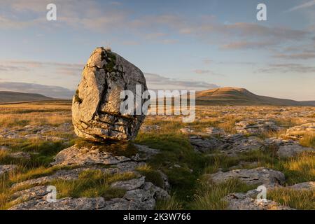 A large boulder standing on limestone pavement, on the slopes of Whernside, one of the famous Three Peaks of the Yorkshire Dales national park, UK Stock Photo