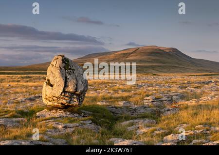 A large boulder standing on limestone pavement, on the slopes of Whernside, one of the famous Three Peaks of the Yorkshire Dales national park, UK Stock Photo
