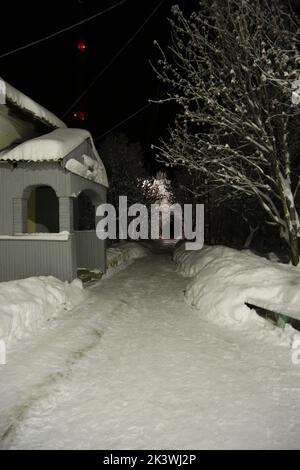 Railway station Pyayve Пяйве on the world's northernmost passenger train service between Murmansk & Nikel in the polar night with ice-covered trees Stock Photo
