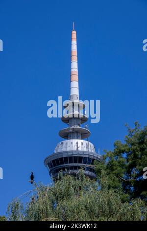 The Luisenpark municipal park in Mannheim, Baden-Württemberg, Germany Stock Photo