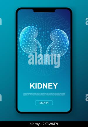 Kidneys 3d polygonal symbol for UI, UX design template. Low poly Urinary illustration for mobile homepage app design. Organ illustration concept. Stock Vector