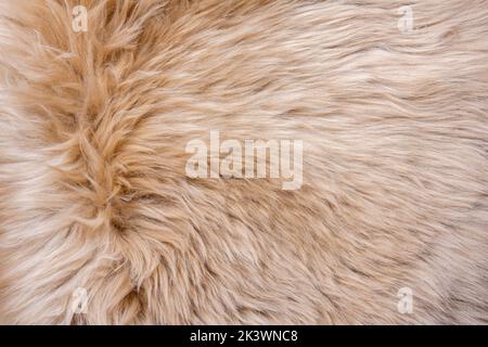 Fur texture top view. Brown fur background. Fur pattern. Texture of brown shaggy fur. Wool texture. Flaffy sheepskin fur close up Stock Photo