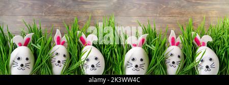 Funny easter eggs cute bunny in the grass. Happy Easter background. Festive Easter banner with painted cute rabbits eggs. Creative Easter egg decorati Stock Photo