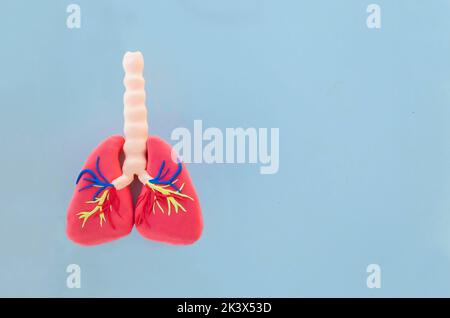 Toy lungs from plasticine on blue background Stock Photo
