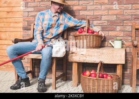 Young male farmer sitting on the wooden chair and looking on the wicker basket full of fresh picked apples. Happy Caucasian man in the garden. Stock Photo