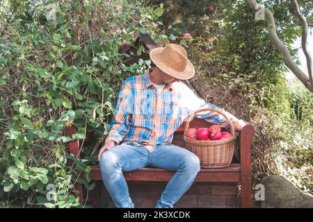 Young male farmer sitting on the wooden bench and looking on the wicker basket full of fresh picked apples. Happy Caucasian man in the garden. Stock Photo