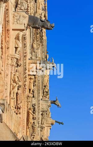 Rhinoceros, bull, wolf and boar-shaped gargoyles at Reims Cathedral in Reims (Marne), France Stock Photo