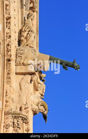 A wolf-shaped gargoyle at Reims Cathedral in Reims (Marne), France Stock Photo