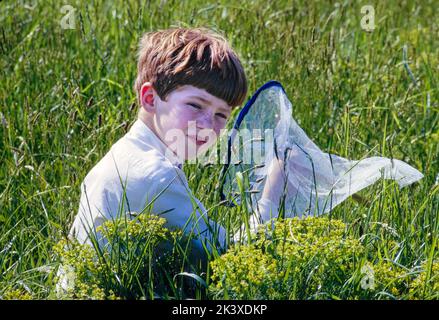 Young Boy sitting in Grassy Field with Butterfly Net, St. James, New York, USA, Toni Frissell Collection, May 1966 Stock Photo