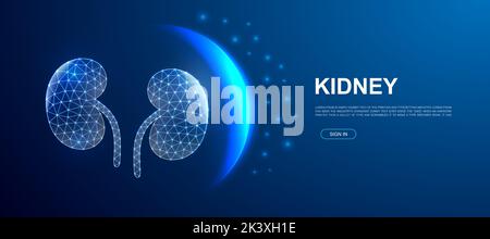 Kidneys 3d polygonal symbol for website template. Low poly Internal organ illustration for promo banner design. Urinary design illustration concept. Stock Vector