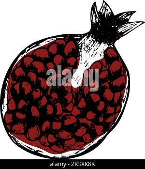 Hand drawn cut black pomegranate isolated on white background. Sketch art illustration for menu design, logo, product packaging Stock Vector