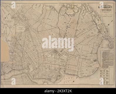 Map of the enlarged City of Brooklyn, published for the Brooklyn ...