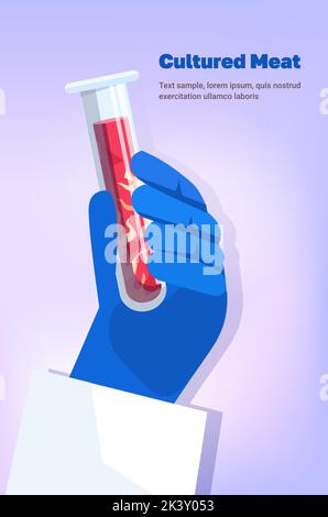 scientist hand holding test tube with cultured red raw meat made from animal cells artificial lab grown meat production Stock Vector