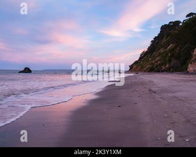 Sunset colours reflected on wet sand and silhouette landlord on Bay of Plenty coastline Stock Photo