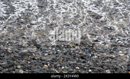 The froth from a wave rolls back over pebbles on the beach on its way back into the sea. Stock Photo