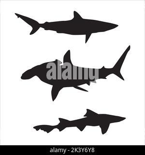 Vector Set Of Sharks Silhouettes Illustration Isolated On White Background Stock Vector