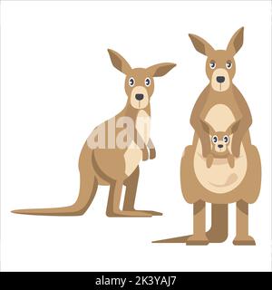 Vector Set Of Kangaroo Illustration Isolated On White Background Stock Vector