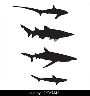 Vector Set Of Sharks Silhouettes Illustration Isolated On White Background Stock Vector