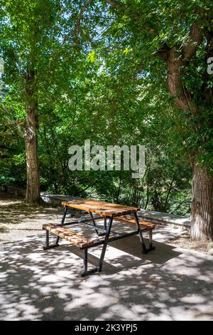 Wooden picnic table in a natural park in forest. Leisure activities in nature concept. High quality photo Stock Photo