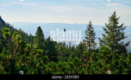 Forest view in the High Tatras, Slovakia, with green conifers, distant mountains and a bird flying over a misty alpine landscape. Stock Photo